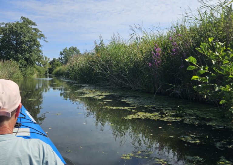 Abenteuer Kajak auf dem Neuengammer Durchstich