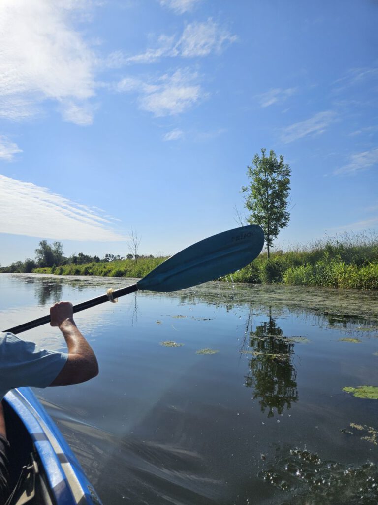 Anfang der Kajak Tour auf der Gose Elbe